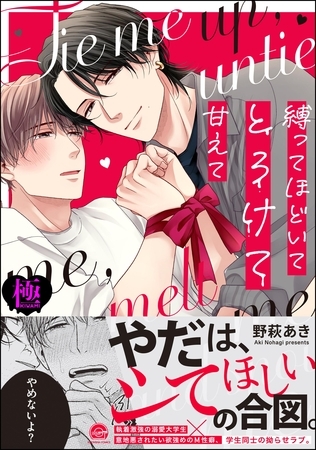 縛ってほどいてとろけて甘えて【極】【電子限定かきおろし漫画付】