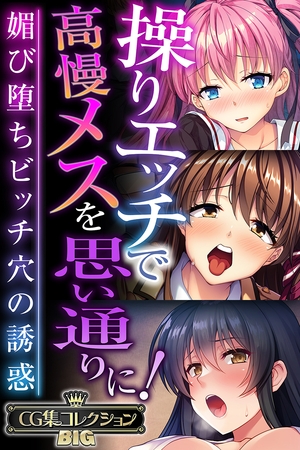 BJ02243857 操りエッチで高慢メスを思い通りに！ ～媚び堕ちビッチ穴の誘惑～【CG集コレクションBIG】のサムネイル