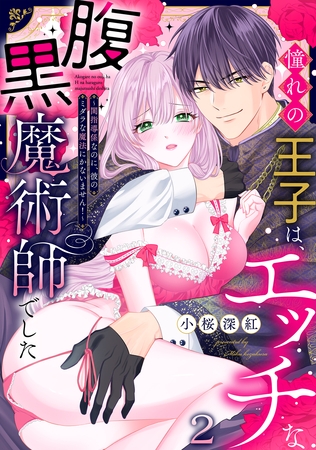 憧れの王子は、エッチな腹黒魔術師でした～閨指導係なのに、彼のミダラな魔法にかないません！～(2)
