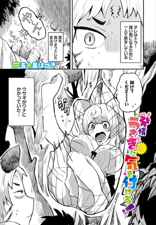 発情うさぎに気を付けろ！