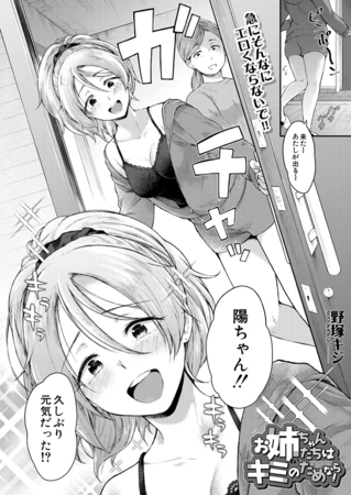 お姉ちゃんたちはキミのためなら！ （野塚キジ）