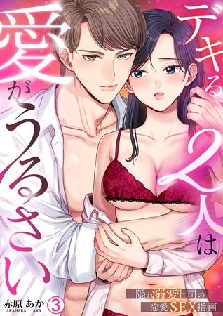 デキる2人は愛がうるさい~隠れ溺愛上司の恋愛SEX指南(3) デキる2人は愛がうるさい~隠れ溺愛上司の恋愛SEX指南(3)