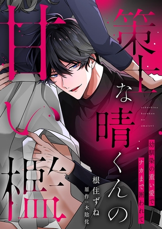 策士な晴くんの甘い檻〜幼馴染の重い愛でナカまで囲われて