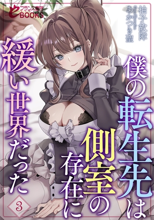 僕の転生先は側室の存在に緩い世界だった３