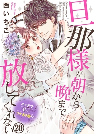 旦那様が朝から晩まで放してくれない～エッチで甘いワケあり婚！？ 20巻
