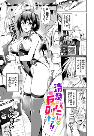 清楚×バニーは反則だ!!