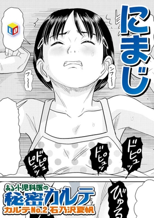 ある小児科医の秘密カルテ カルテNo.2石乃沢夏帆