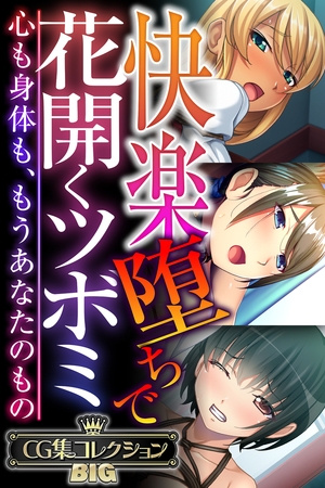 【期間限定　試し読み増量版】快楽堕ちで花開くツボミ ～心も身体も、もうあなたのもの～【CG集コレクションBIG】