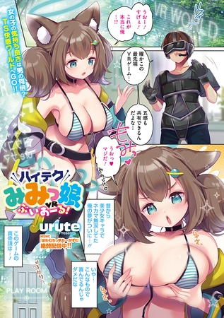 ハイテクみみっ娘ぶいあーる！