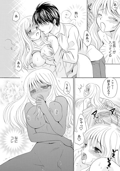 小さな悪魔~ドS社長とヒミツの同棲生活~(1) 画像3