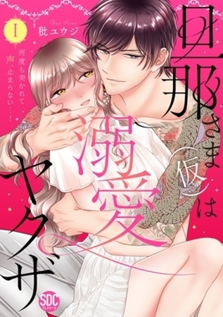 旦那さま(仮)は溺愛ヤクザ 何度も突かれて声、止まらない…！【コミックス版】6巻パック