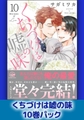くちづけは嘘の味10巻パック [海王社]