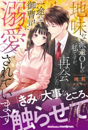 【期間限定 試し読み増量版】地味な派遣OLの私ですが、再会した一途な御曹司に溺愛されています