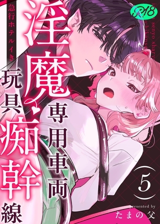 淫魔専用車両 玩具痴幹線 ～急行ホテルイき～【R-18版】 （5）