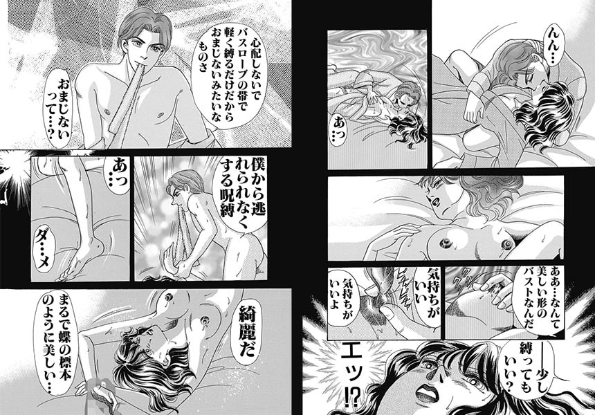 コミック・アムール 2013年8月号 画像2
