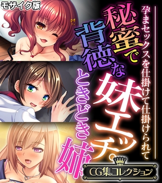 秘蜜で背徳な妹エッチ。ときどき姉 ~孕まセックスを仕掛けて仕掛けられて~【CG集コレクション】 モザイク版