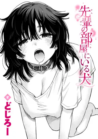 先輩の部屋にいる犬 / どじろー