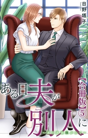 ある日夫が別人に~連日連夜注がれて~【合冊版】5