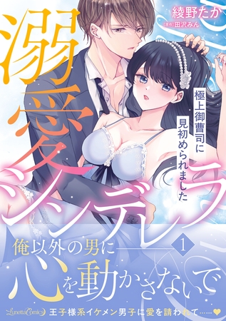 【期間限定 試し読み増量版】溺愛シンデレラ 極上御曹司に見初められました 1