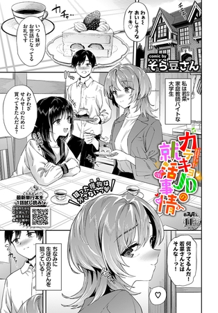 カテキョJDの就活事情