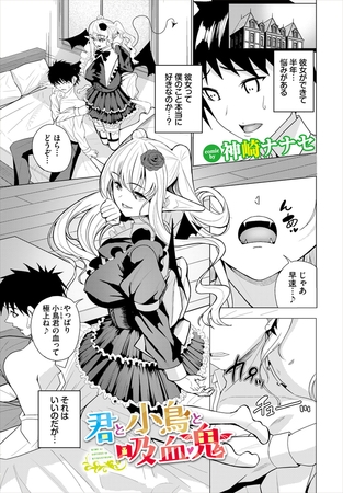 君と小鳥と吸血鬼