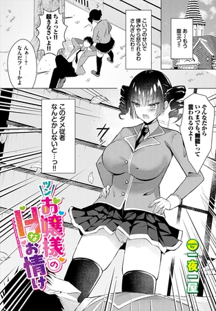 ツンお嬢様のHなお情け