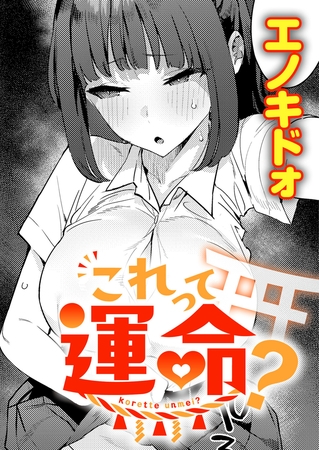 これって運命?