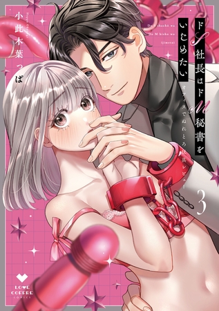 ドS社長はドM秘書をいじめたい~オフィスでぬれとろ玩具レビュー~ 3【電子限定漫画付き】