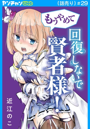 もうやめて回復しないで賢者様！(話売り)　#29