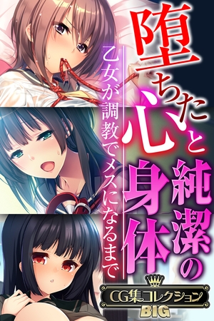 【期間限定　試し読み増量版】堕ちた心と純潔の身体～乙女が調教でメスになるまで～【CG集コレクションBIG】
