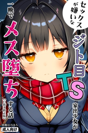 セックスが嫌いなジト目TS家出少女が一晩でメス堕ちする話【白抜き修正版】 表紙