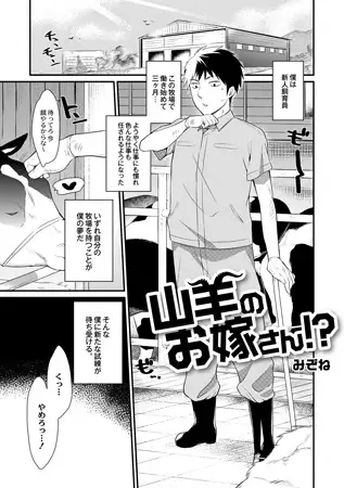 山羊のお嫁さん!?