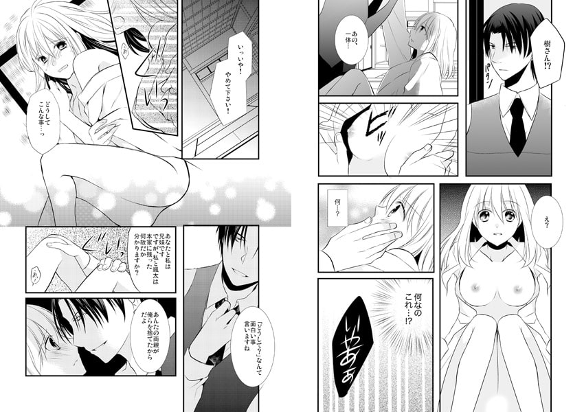 極道の籠女~ドSイケメン兄弟の甘い復讐~ 画像1