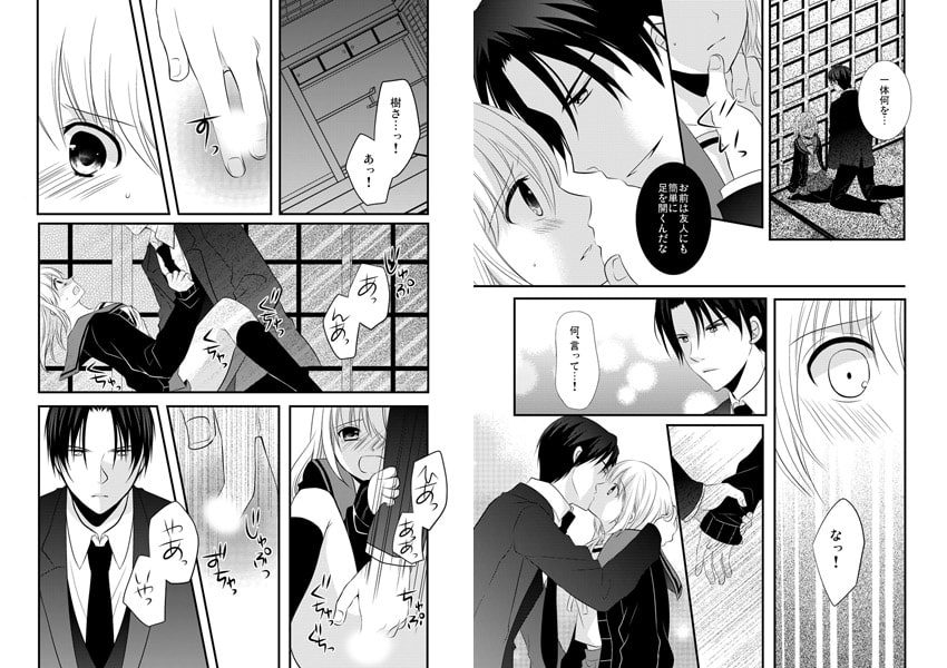 極道の籠女~ドSイケメン兄弟の甘い復讐~2 画像2