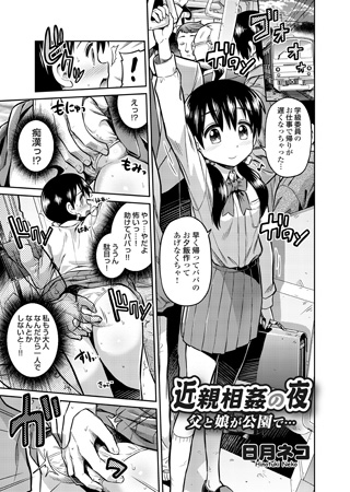 BJ047806 近親相○の夜 父と娘が公園で…のサムネイル