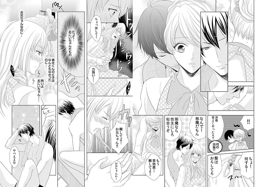 とぎれた境界線~実兄と交わる背徳の夜に…~ 画像1