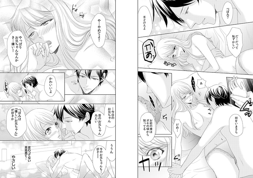 とぎれた境界線~実兄と交わる背徳の夜に…~ 画像2