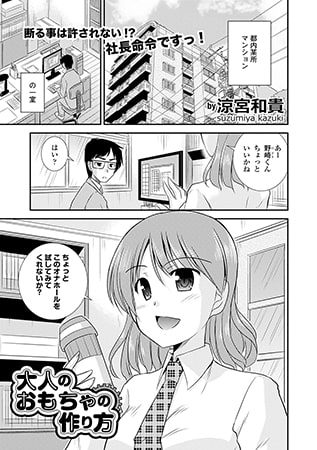 大人のおもちゃの作り方 [文苑堂]