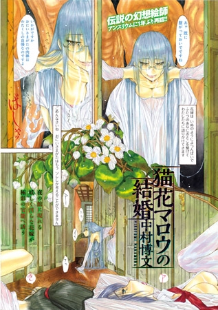 BJ055438 猫花マロウの結婚のサムネイル