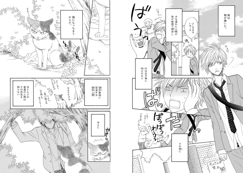 [左京亜也]ネコ科彼氏のあやし方