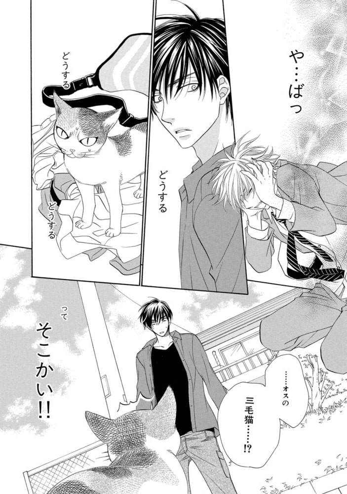 [左京亜也]ネコ科彼氏のあやし方
