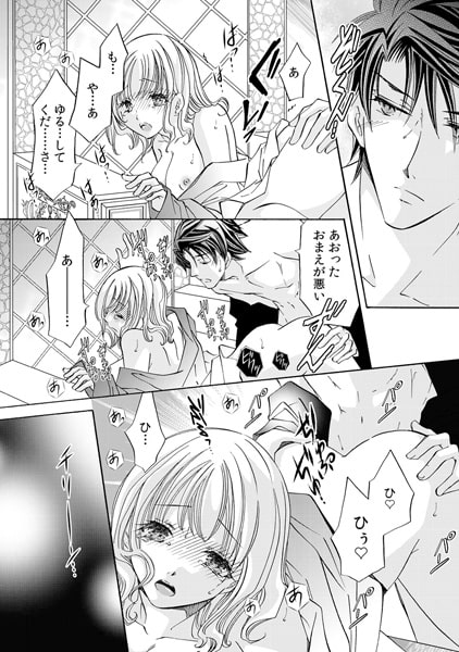 黒王子とイジラレ姫~禁断・オトナ絵本~(13) 画像2