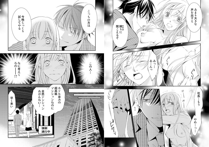 【セット売り】強○結婚。花嫁はドS社長の下僕 画像1