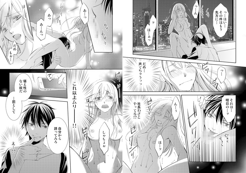 【セット売り】強○結婚。花嫁はドS社長の下僕 画像2