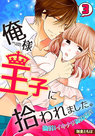 俺様王子に拾われました。～強引! イキナリ初体験!?～(3)