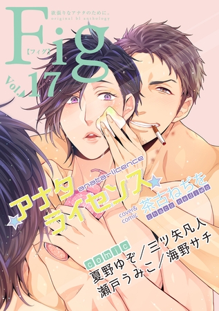 Fig vol.17 [東京漫画社]