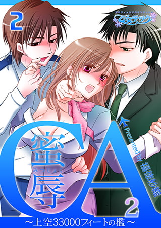 蜜辱CA～上空33000フィートの檻～（2）2