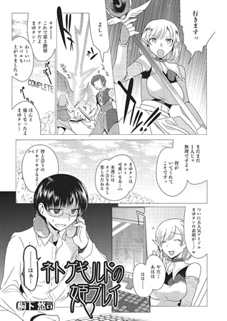ネトゲギルドの姫プレイ [一水社]