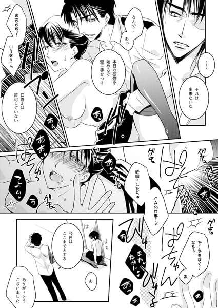 蜜辱CA~上空33000フィートの檻~(2)4 画像1