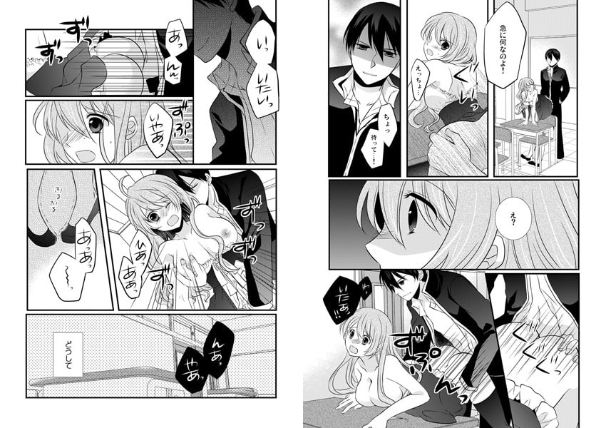 うちの家政婦モルモット~ご主人様はドSな3兄弟~【特装版】 画像3